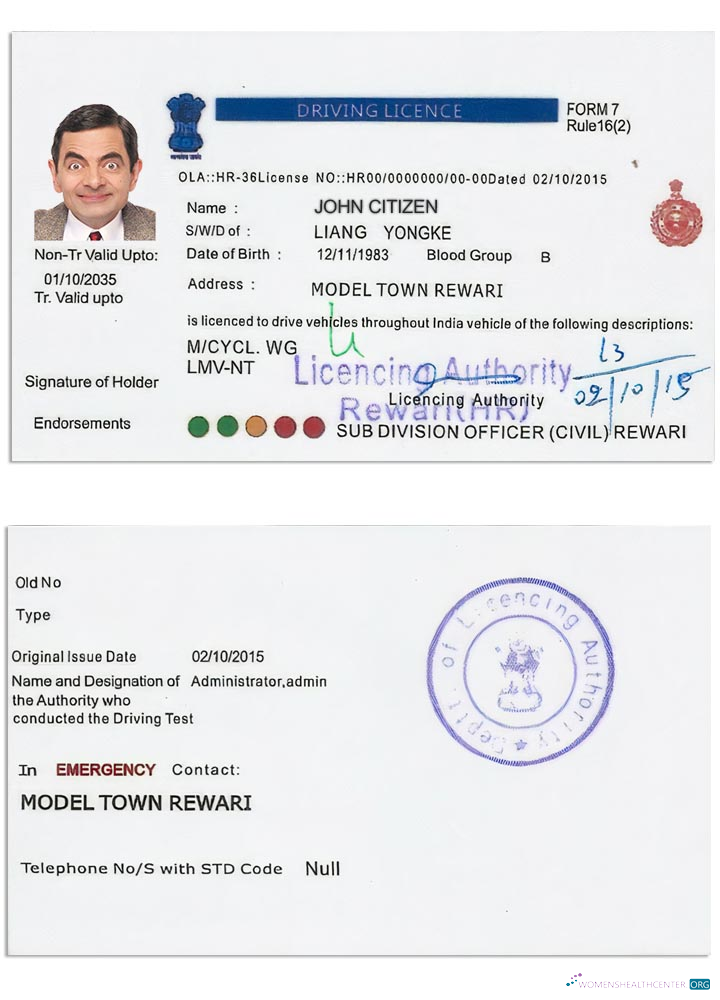 download India driving license version 5